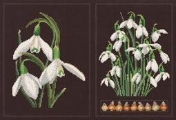 Thea Gouverneur - Borduurpakket met telpatroon - 446.05 - Voorgesorteerde DMC Garens - Sneeuwklokjes - Zwart Aida - 33 cm x 22 cm - DIY Kit