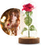 Nonchi Roos in Glazen Stolp - LED Verlichting - Gouden Roos - Cadeau voor Vrouw - Inclusief Giftbox
