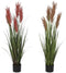 Decoratieve plant Home ESPRIT PVC Polyethyleen 35 x 35 x 120 cm (2 Stuks)