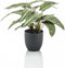 Emerald Kunstplant in pot Zebrina calathea 38 cm