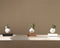 LYFE Planter – Zwevende plant – Walnoot hout