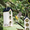 Complete Vogel-Buffet Chalet 3 Vogelvoederhuisje voor Mezen inclusief Vogelvoer