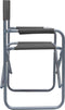 vidaXL Regisseursstoelen - Staal - Grijs - 48 x 57 x 79 cm