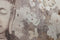 Schilderij Home ESPRIT Boeddha Orientaals 60 x 2,7 x 80 cm (2 Stuks)