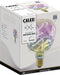 Calex Organic Neo Rainbow - E27 LED Lamp - Dimbaar Filament - Warm Wit Licht (4W)