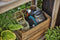 GARDENA MoveMatic - Draagbare slangenbox - Automatisch oprolsysteem - Donkergrijs