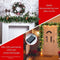 Verlichte Kerstguirlande 270 cm - 100 LED-lampjes - Rode bessen en dennenappels