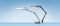 Hansa Ecostar - Bureaulamp - Spaarlamp - Zilver
