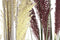 Decoratieve plant Home ESPRIT PVC Polyethyleen 45 x 45 x 150 cm (2 Stuks)