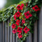 Plant in a Box - Mandeville 'Rio Deep Red' - Dipladenia - Bloeiende tuinplant - Klimplant - Terras- en balkon plant - Pot 17cm - Hoogte 60-70cm
