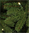 Top Trees Vancouver Kunstkerstboom met LED Verlichting - H185 x Ø124 cm - Groen