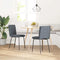 vidaXL - Eetkamerstoelen - 2 - st - fluweel - donkergrijs