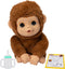 Little Live Pets - My Baby Monkey Mango - Interactieve Knuffelaap met 50+ geluiden en reacties - Bruin