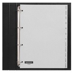 Quantore - Tabblad a4 4rings pp jan-dec grijs | 10 stuks
