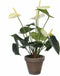 Mica Decorations Anthurium Kunstplant - H38 x Ø30 cm - Wit