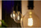 Philips Hue - Filament Globe L G125 E27 - White Ambiance - Wit