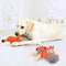 Hondenknuffel - Interactief piepspeelgoed voor honden - Teddy - Stoer hondenkauwspeelgoed - Met katoenen materiaal en gekreukt papier - Hondenspeelgoed voor grote en kleine honden