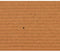 Gras - EXELGREEN - 124414 - Natura 2D - 38mm / 1 x 5 m