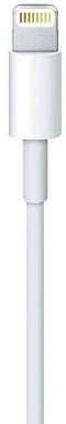 Apple MD819ZM/A - Lightning naar USB Kabel - 2m Wit