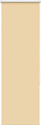 vidaXL - Rolgordijn - verduisterend - 55x150cm - stofbreedte - 50,7 - cm - polyester