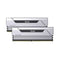 Biwin HX100 - RAM geheugen - 32 GB DDR5 6000 MHz cl30