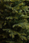 Black Box Trees Grimshaw - Kunstkerstboom H230 x Ø163 cm - Groen