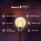 Happy Goods - kerstverlichting - 7m - 50 solar LED - Tuinverlichting op zonne-energie
