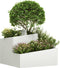 vidaXL - Tuinplantbak - Wit - 60x60x50 - cm - Staal