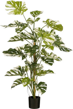 Mica Decorations Monsteraboom - Kunstplant - H140 x Ø120 cm - Groen