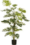 Mica Decorations Monsteraboom - Kunstplant - H140 x Ø120 cm - Groen