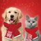 Plenty Gifts Kerst Sjaal - Honden Sjaal - Favorite Dog Poot