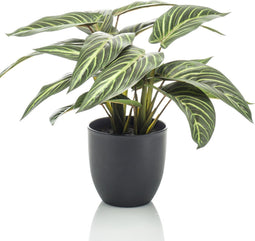Emerald Kunstplant in pot Zebrina calathea 38 cm