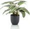 Emerald Kunstplant in pot Zebrina calathea 38 cm