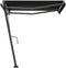 vidaXL - Luifel - vrijstaand - handmatig - uittrekbaar - 300x250 - cm - antraciet