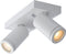 Lucide TAYLOR - Plafondspot - 2x5W LED Dim to warm 2200K/3000K - IP44 - Wit (2 stuks)