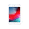 Apple iPad mini 5 (2019, A12 series) - Zilver - 256 GB - WiFi + 4G