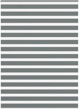 vidaXL - Zebra - rolgordijn - 165x230 - cm - stofbreedte - 160,9 - cm - donkergrijs