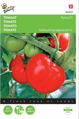 2 stuks - Buzzy - Tomaten Pyros F1