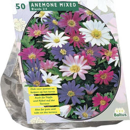 Anemone Blanda, Mix per 50