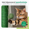Gopets Krabpaal Cactus - Krabmeubel met sisaltouw en speeltje - Modern design