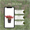 Plants by Frank | set van 6 Parelbes planten | 6x Pernettya mucronata mix | 2x roze, 2x wit & 2x rood | 12 cm Ø | 20 cm hoog | winterharde planten | tuinplanten | planten