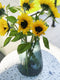 XLBoom Dim Stripe Large Vaas - Glas - Voor Binnen - Groen - 19,5×19,5×30cm