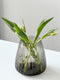 XLBoom Dim Stripe Small Vaas - Glas - Voor Binnen - Grijs - 15×15×16,5cm