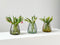XLBoom Dim Stripe Small Vaas - Glas - Voor Binnen - Lichtgroen - 15×15×16,5cm