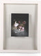 XLBoom Window Fotolijst 30x40 Wit