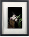 XLBoom Window Fotolijst 40x50 Zwart