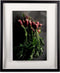 XLBoom - WINDOW Fotolijst 50x60 Zwart