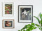 XLBoom - WINDOW Fotolijst 50x60cm - Wit