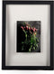 XLBoom Window Frame fotolijst 30x40cm - Zwart