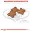 ROYAL CANIN® Mini Adult - hondenvoer - 800 gram